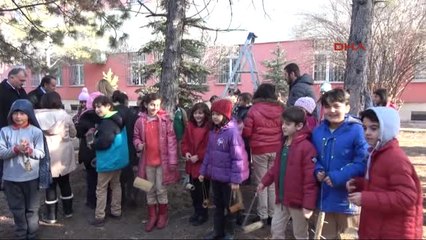 Sivas-Öğrenciler, Kuşlar İçin Yuva Yapıp, Ağaçlara Yem Bıraktı