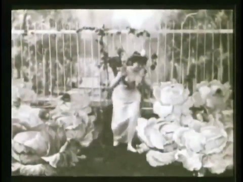 La fée aux choux (1896)