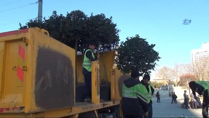 Taksim'de Yılbaşı Hazırlıkları Tüm Hızıyla Devam Ediyor