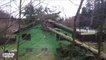 2 bucherons débiles détruisent une maison en coupant un arbre