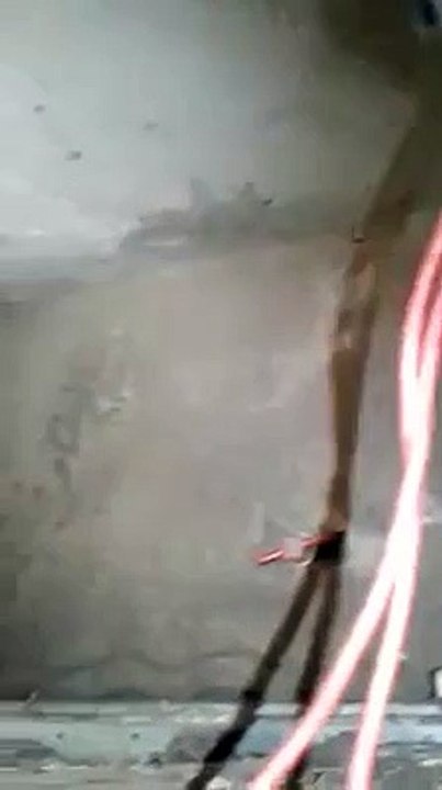 DEGLI STRANI ESSERINI