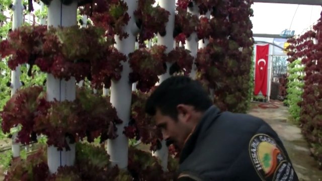 Dikey Topraksız Tarım İle Servetine Servet Katıyor