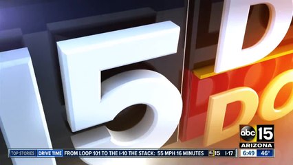 Deal of the Day: Mesa Arts Center Winter Camp