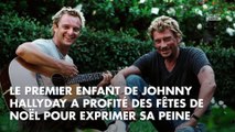Johnny Hallyday : David Hallyday s’exprime pour la première fois (Vidéo)