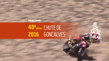 40ème édition - N°33 - Chute Goncalves - Dakar 2018