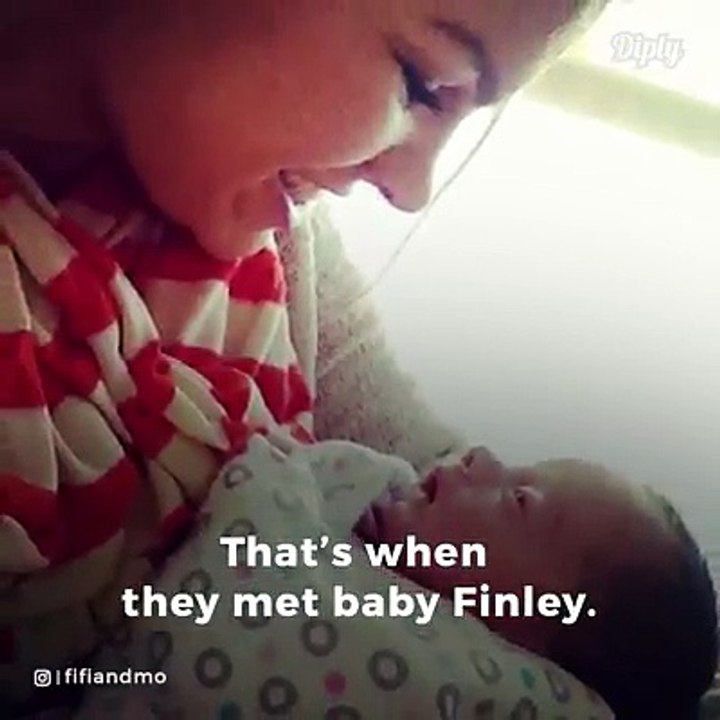 christina`s daughter story