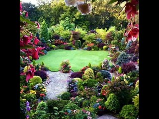 حه سه ن زيره ك / لانکۆڵێ / تاران