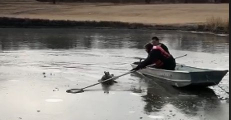 Download Video: Kansas Police Officer, Firefighter Rescue Duck Trapped in Ice