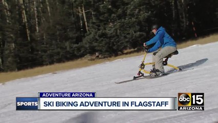Ski biking adventure in Flagstaff