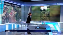 Oise : les habitants de Bonneuil-en-Valois sauvent un cerf traqué et blessé lors d'une chasse à courre