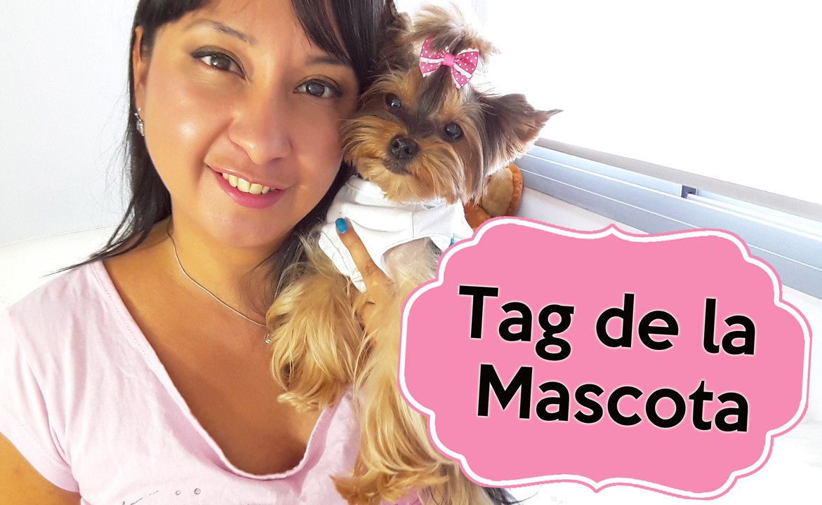 TAG DE LA MASCOTA CON MI YORKIE !!! - Aracelli Vlgos