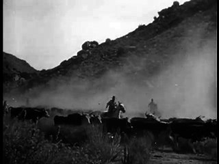 Stories of the Century NATE CHAMPION