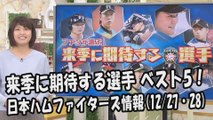 日本ハム ファンが選ぶ「来季に期待する選手」ベスト5！ 2017.12.27・28 日本ハムファイターズ情報 プロ野球