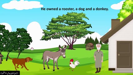 Story Of Rooster, Dog, Donkey, And Old Man