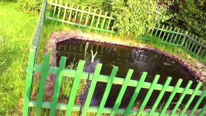 Masha and The Bear funny cartoons Video for Kids ente