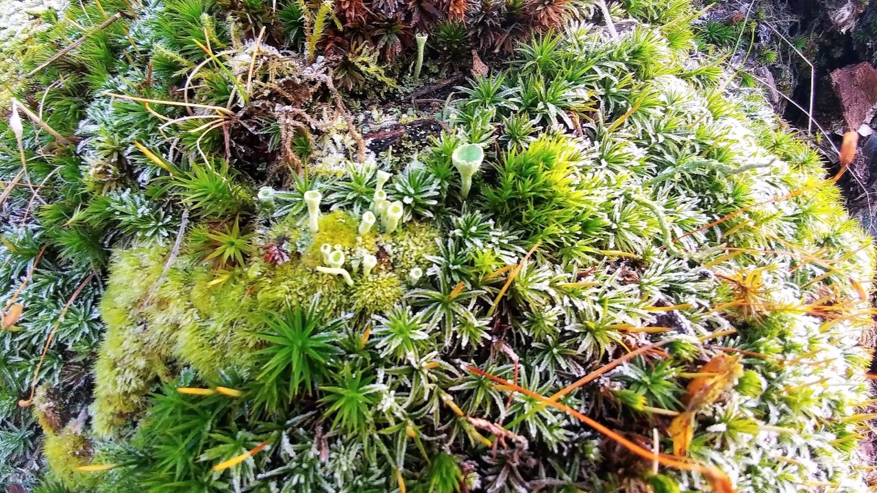 Jahresrückblick auf 2017