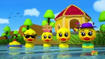Five Little Ducks Went Swimming One Day Nursery Rhymes Songs For children B