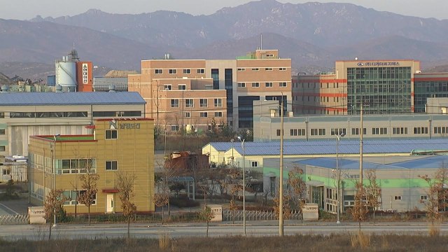 통일부 혁신위 박 前 대통령 구두지시로 개성공단 철수 / YTN