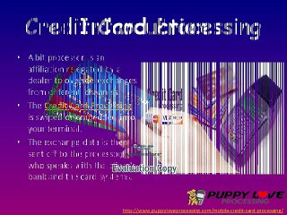 Basic Introduction About Credit Card Processing