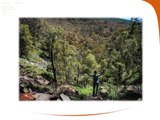 The Fun Activities You Can Try in The Blue Mountains.