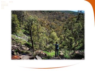 The Fun Activities You Can Try in The Blue Mountains.