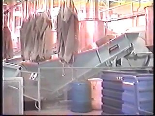 Get Material handling shuttle coveyors by CLM