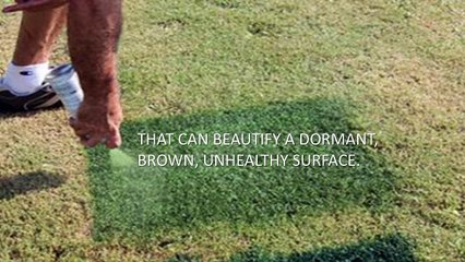 Eco-friendly Green Grass Paint