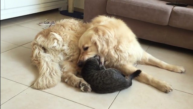 Quand tu réalises que tu as été un peu trop dur avec ton pote !