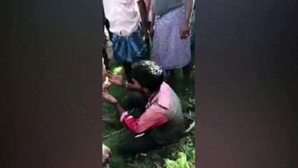 சில்மிஷம் செய்த வாலிபரை விட்டு விளாசிய பெண்கள்- வீடியோ