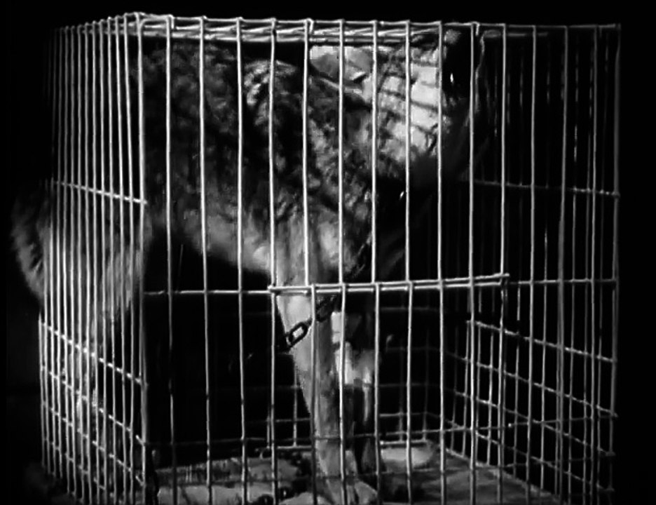 The Mad Monster (1942) HORROR part 1/2