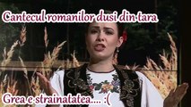 Cantecul romanilor dusi din tara | Emotionant pana la lacrimi!
