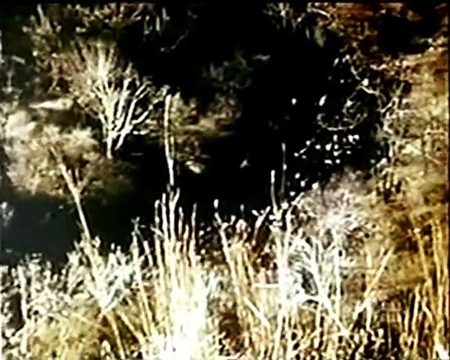 Ryker - The Virginian. part 2/2