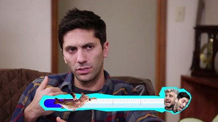 Catfish S.7A "Le come-back"