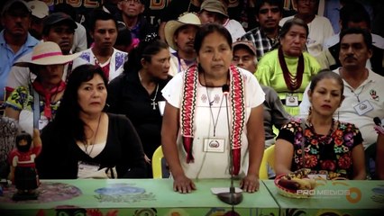 Juntan firmas para Marichuy en el Lechón Ilustrado