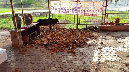 Bijasan Mata Temple, Indore, Madhya Pradesh, India