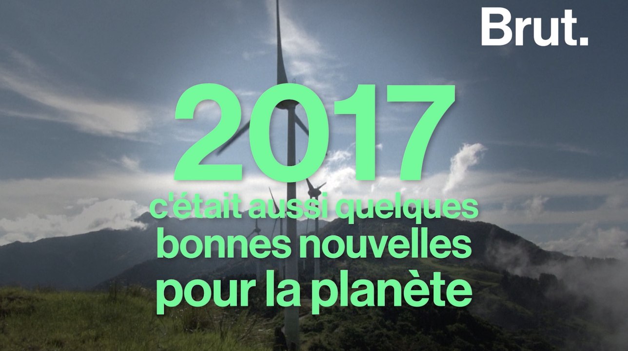 Les bonnes nouvelles pour la planète en 2017