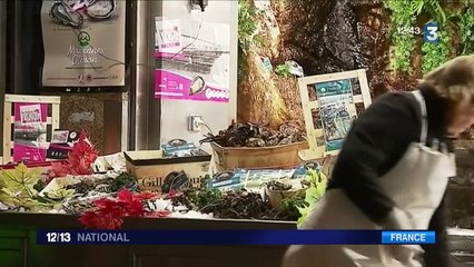 Huîtres : le business de l'emballage