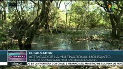 Download Video: El Salvador: comunidades exigen cese al uso de agrotóxicos