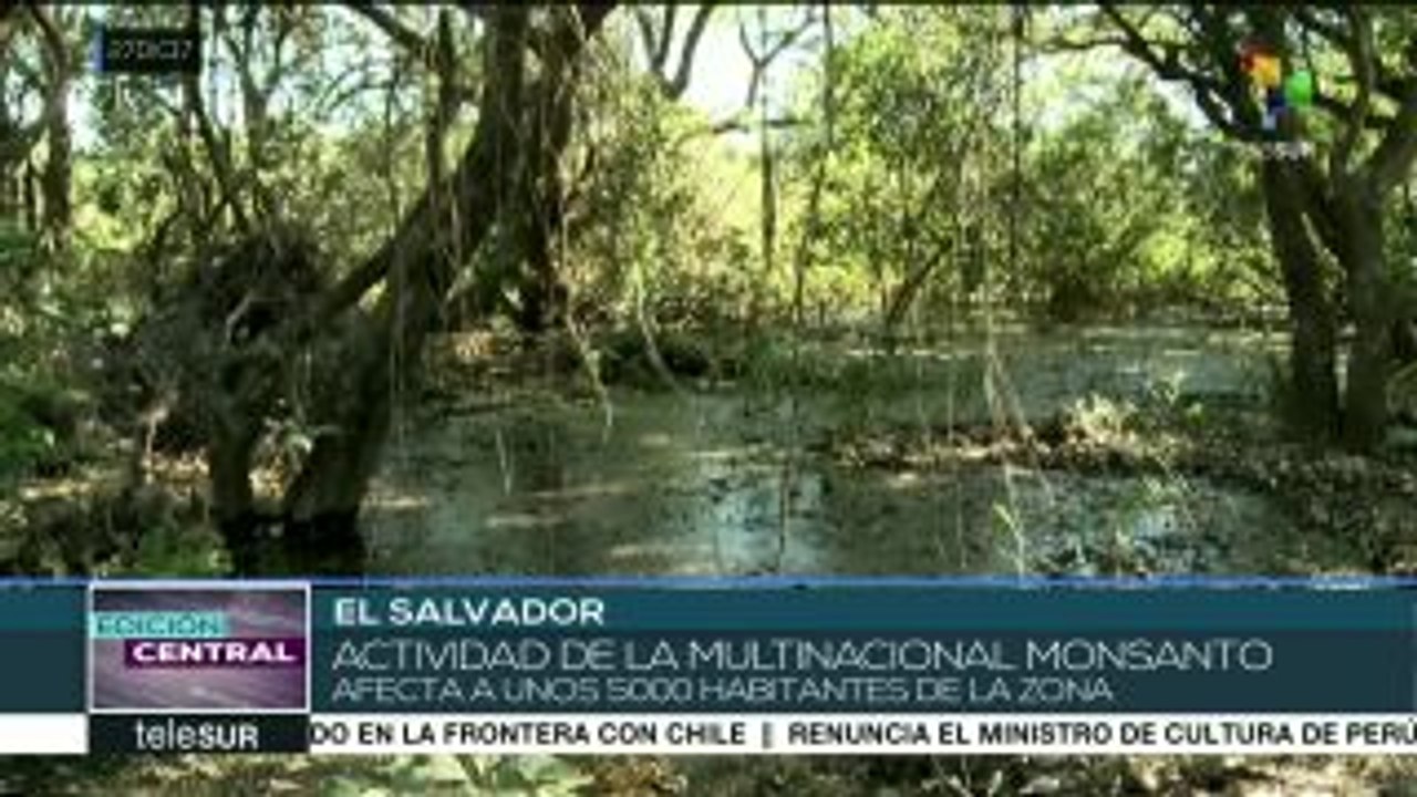 El Salvador: comunidades exigen cese al uso de agrotóxicos