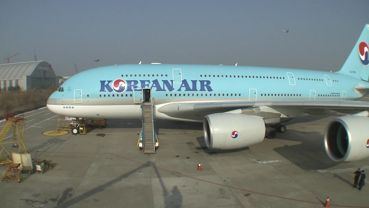 항공 정비 사업, '황금알 낳는 거위' 기대 / YTN