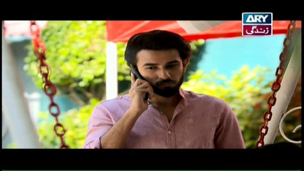 Haya Kay Rang Episode 211 In High Quality on Ary Zindagi 28th December 2017
