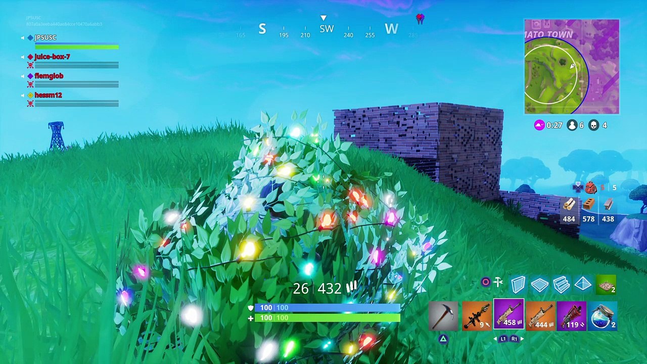 Fortnite/Bird Flu
