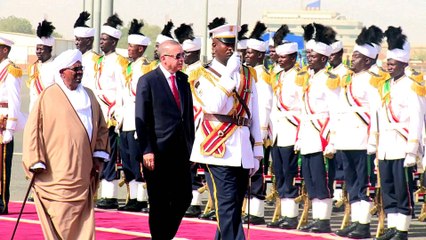 Why are so many countries expanding their presence in the Red Sea?