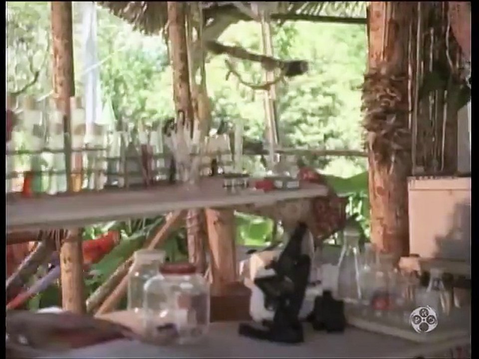 TARZAN-"Tarzan and the Woman of Steel" S1 E07