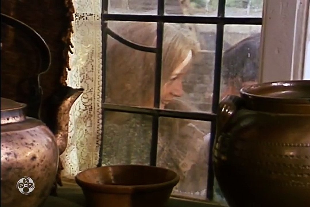 The Adventures of Black Beauty "Two of a Kind" S1 E21