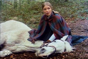 The Adventures of Black Beauty -"Warhorse" S1 E06