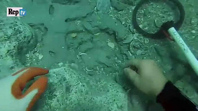 Sub trova tesoro del 1715 in fondo al mare 1 milione di dollari in monete d'oro