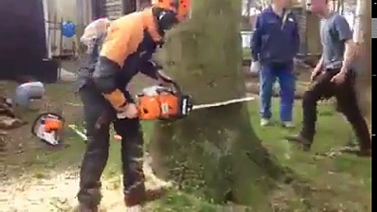 AVETE MAI VISTO ABBATTERE UN ALBERO COSI'????