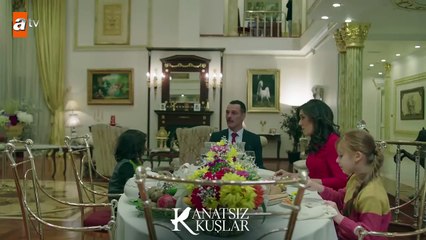 Mutlu Aile Tablosu! - Kanatsız Kuşlar 28.Bölüm