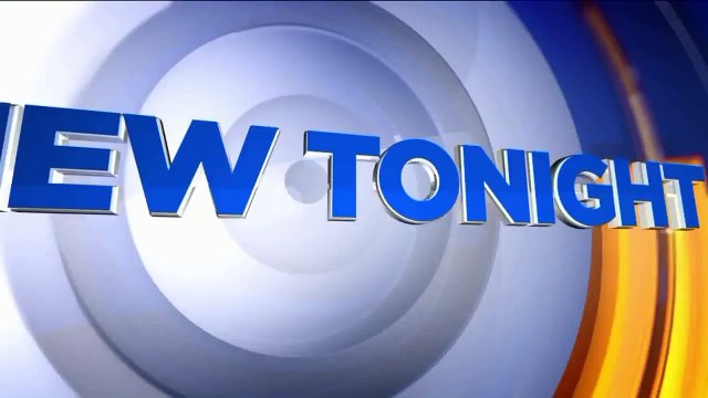 Customs Officers Recover Stolen Vehicles Headed to Africa